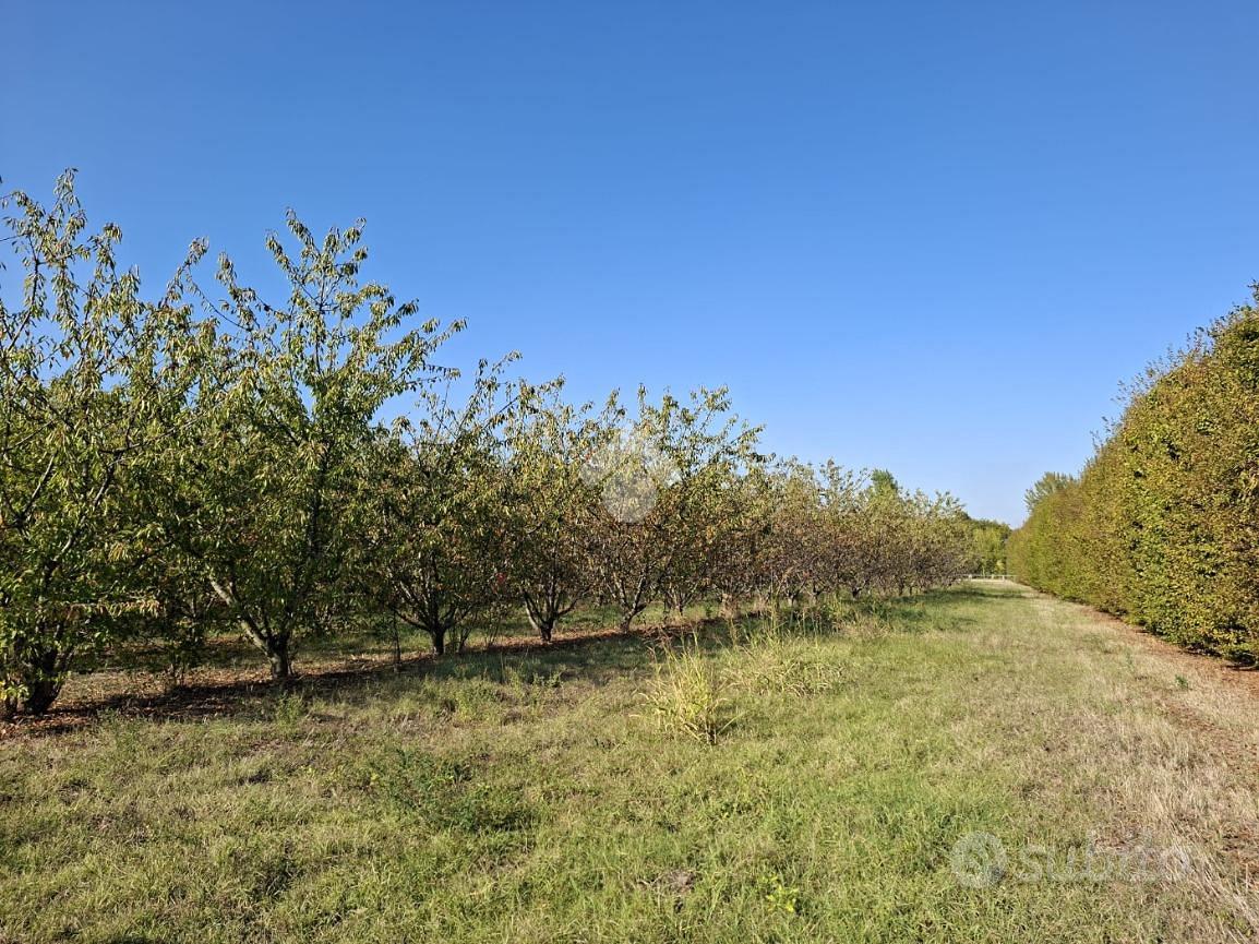 TER. AGRICOLO A CASTELFRANCO EMILIA - Vista 3