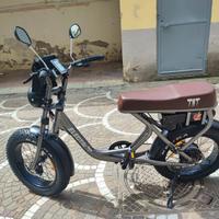 Bici elettrica biposto electri tnt ebike