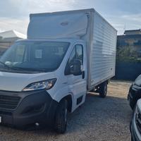 Fiat Ducato Maxi Box Cassonato