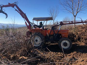 Gru / pinza / ragno forestale