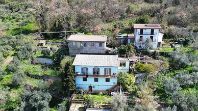 Casa Indipendente Acuto [V5101VRG]