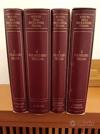 IL VOCABOLARIO TRECCANI