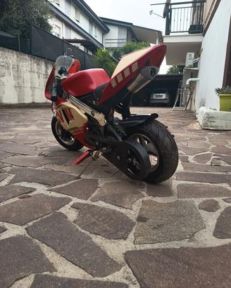 Minimoto GP