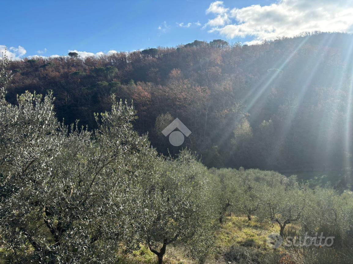 TER. AGRICOLO A SCANDICCI - Vista 5