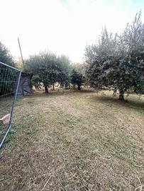 Terreno agricolo + Pozzo