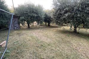 Terreno agricolo + Pozzo