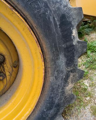 gomme terna