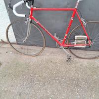 bici da corsa guerciotti