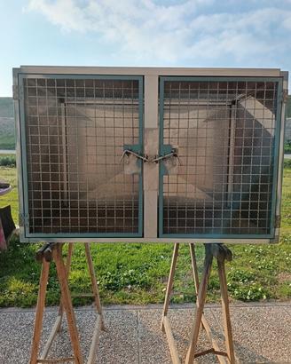 cassetta x cani in auto