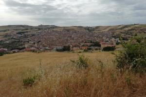 Terreno Edificabile 10.000 mq - Vista Panoramica