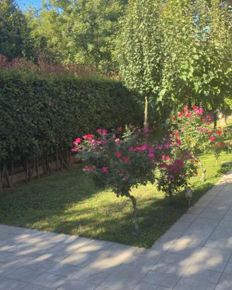 Appartamento