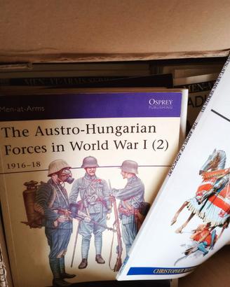 Storia militare e uniformi-Lotto +di 200 fascicoli