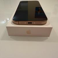 IPhone 16 Pro Max  512GB come nuovo