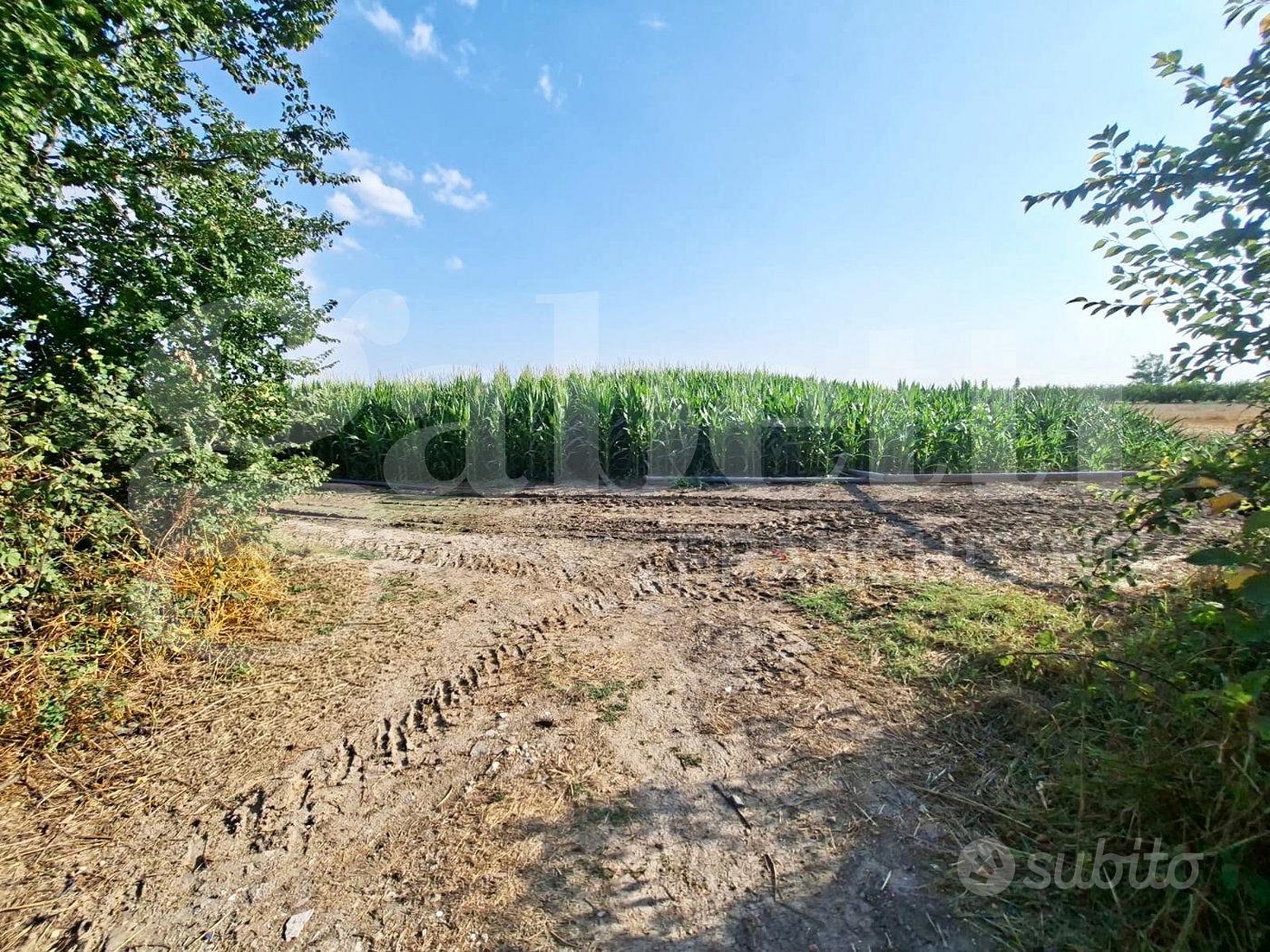 Terreno Agricolo Santa Maria la Fossa - Vista 4