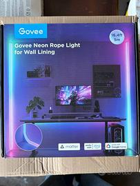 Govee Neon Rope Light per Pareti 5m