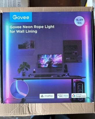 Govee Neon Rope Light per Pareti 5m