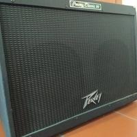 Peavey Classic 50