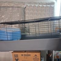 gabbia per conigli