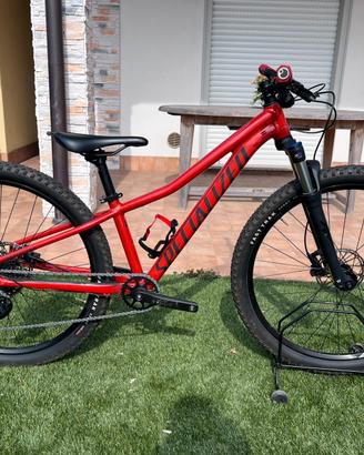 Specialized Rockhopper 27.5