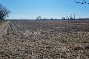 Immobile in asta di 67240 m² a San Giuliano Milane