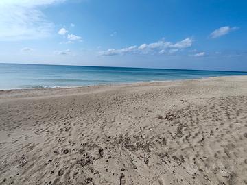 A soli 50 metri dalla spiaggia