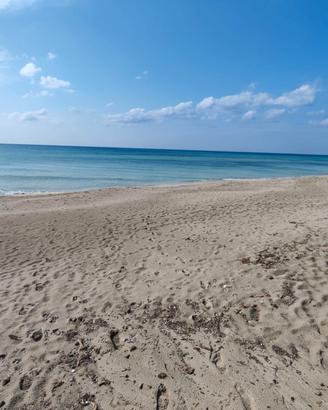 A soli 50 metri dalla spiaggia