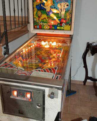 Flipper Zaccaria Wood Quen anni 70