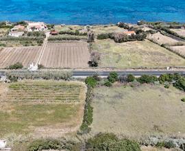 Marritza terreno pianeggiante breve distanza mare