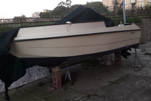 Barca modello Primula con motore Mercury 40CV