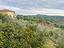 Immagine 27
