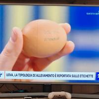 samsung smart tv 43 pollici