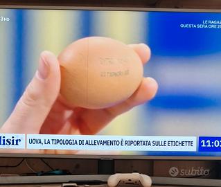 samsung smart tv 43 pollici