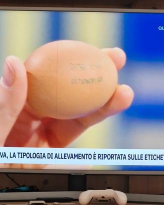 samsung smart tv 43 pollici
