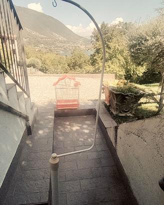 piedistallo per gabbia
