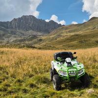 Quad Arctic Cat 1000
