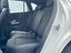 Immagine 14
