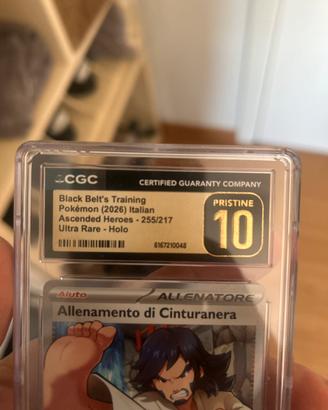Polemon allenamento di cinturanera fullart 255/217
