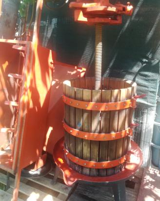 Torchio e pigiatrice per vino