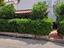 Immagine 6