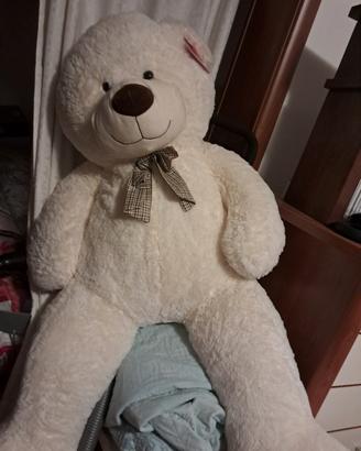 Orso Peluche 