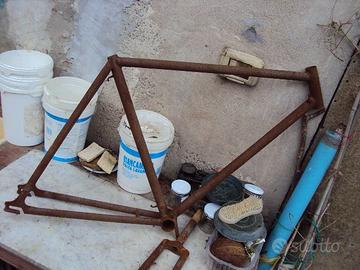 taurus telaio e forcella