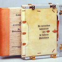 De Balneis Puteolanis