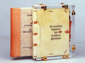 De Balneis Puteolanis