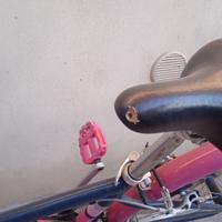 Bicicletta bambino / bambina