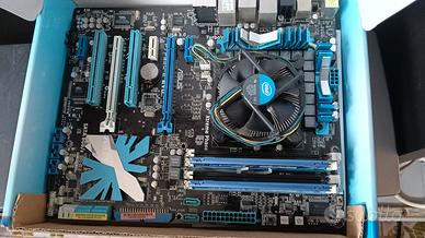 ASUS P7P55D  evo   Scheda madre LGA1156