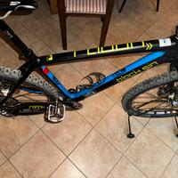 Bici mtb in carbonio