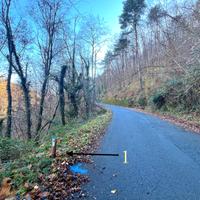 Castagneto da Frutto Provincia Imperia