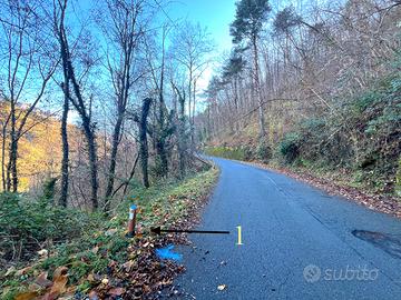 Castagneto da Frutto Provincia Imperia