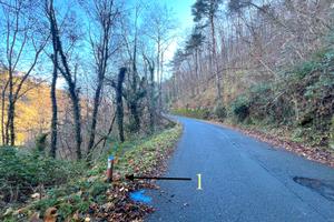 Castagneto da Frutto Provincia Imperia