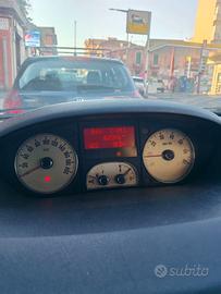 Lancia musa